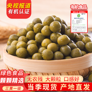 【2025新品芡实】天长鸡头果三黄一级当季新采鸡头米批发新鲜批发