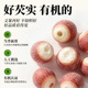 有机芡实2025新货红皮芡实鸡头米干货泡水五谷杂粮滋补食材四神汤