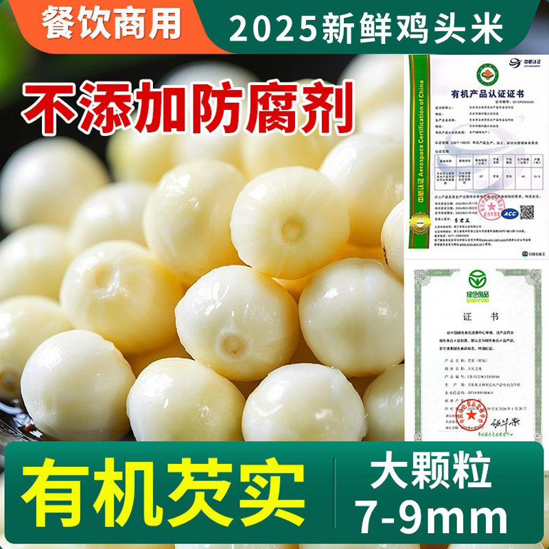 多送200克！鸡头米新鲜2025大颗粒有机芡实官方旗舰店苏芡米2斤