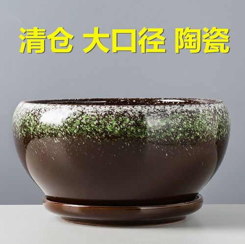 新款蝴蝶兰花盆大口径吊兰绿萝