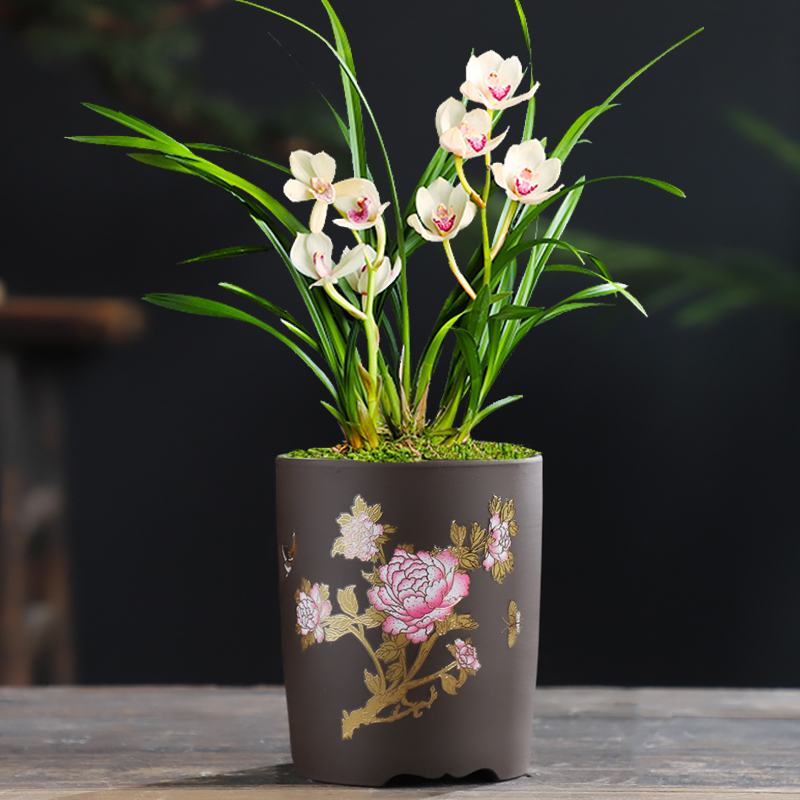 带托盘陶瓷透气中号专用兰花盆