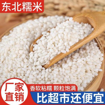 【净重】圆粒糯米白江米粽子糍粑糯大米汤圆粥碾米25年新糯米粘糕