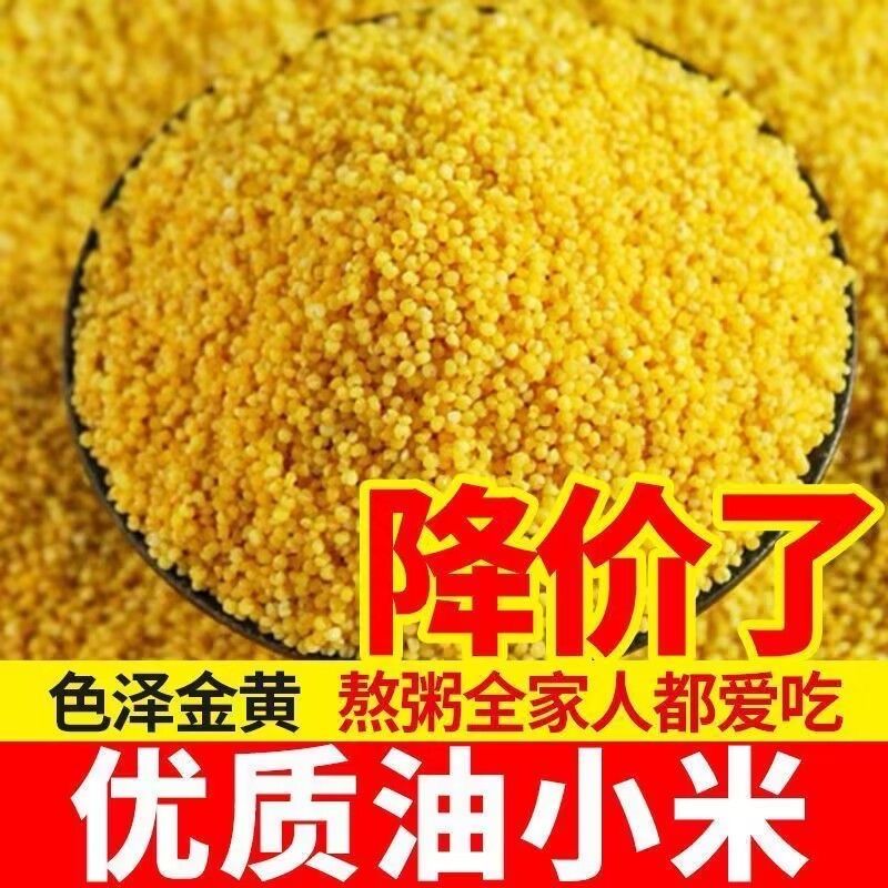 农家种植黄小米养胃月子米2025年新米小米批发价糯大小米五谷杂粮