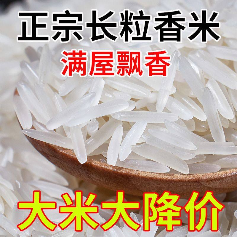 正宗猫牙香米2025年当季新米长粒香大米丝苗米新米茉莉香米蛋炒饭,粮油调味/速食/干货/烘焙,大米,淘宝优惠券,粉丝福利购,淘宝优惠卷