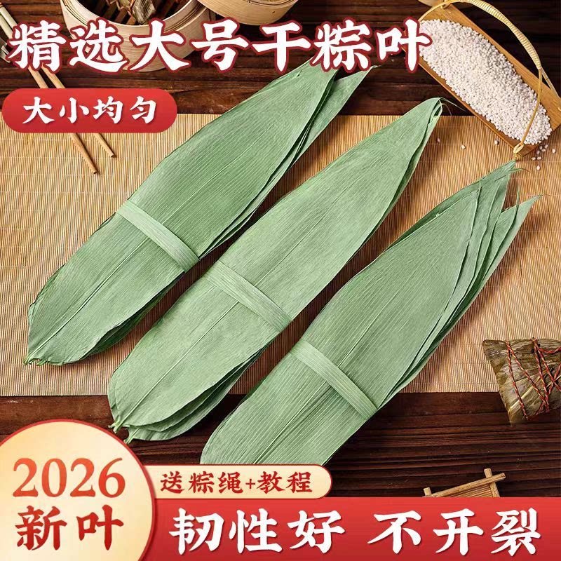 干粽叶大号新鲜粽叶粽叶芦苇叶端午节包粽子深山采摘野生天然粽叶