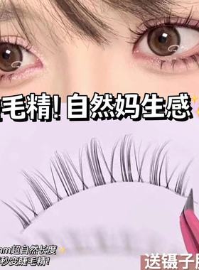 萌睫尚品MS09精灵款假睫毛女自然仿真浓密细透明梗仙子毛自粘新手