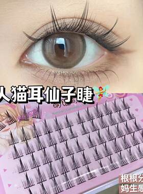 萌睫尚品懒人猫耳仙子