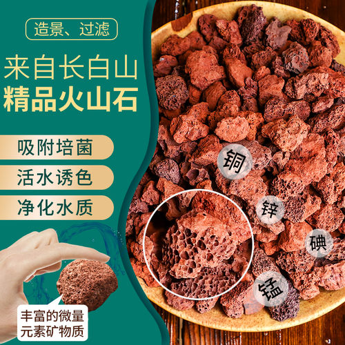 疏松透气颗颗带孔 养花必备