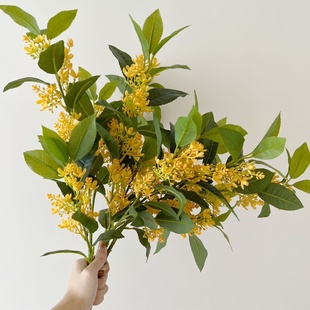 金桂花干花仿真花束高级感逼真树叶支盆栽客厅餐桌花摆件拍摄道具