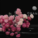 露莲仿真花假花花束客厅餐桌花艺摆件洋牡丹装 饰桌面绢花插花摆设