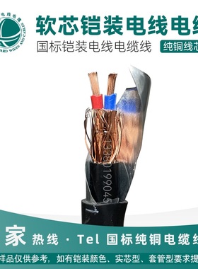 ZR软芯铠装信号线KVVRP22 RVV22地埋RVVP22 RVSP22 *0.75 1.0 1.5