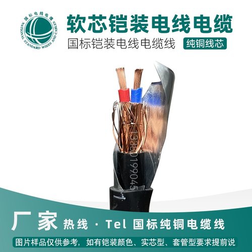 屏蔽铠装多股国标铠甲电缆线纯铜