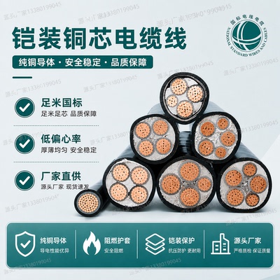 国标铠装铠甲阻燃电缆线