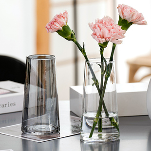 饰摆件 ins风北欧简约玻璃花瓶网红水培绿植鲜花插花小花瓶客厅装