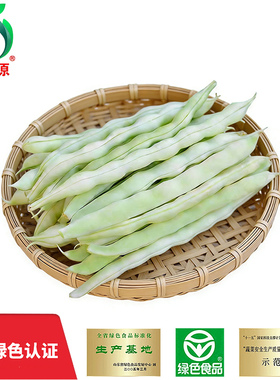 燎原绿色白芸豆新鲜当季蔬菜白不老芸豆四季豆架豆王老来少山东