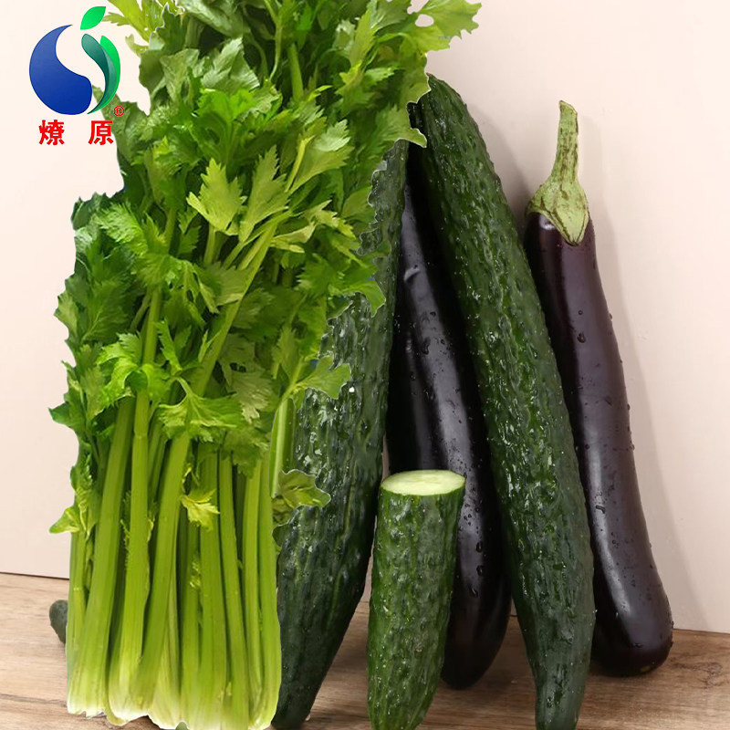 燎原蔬菜精选家庭组合芹菜黄瓜长茄新鲜蔬菜健康食材生产基地直发