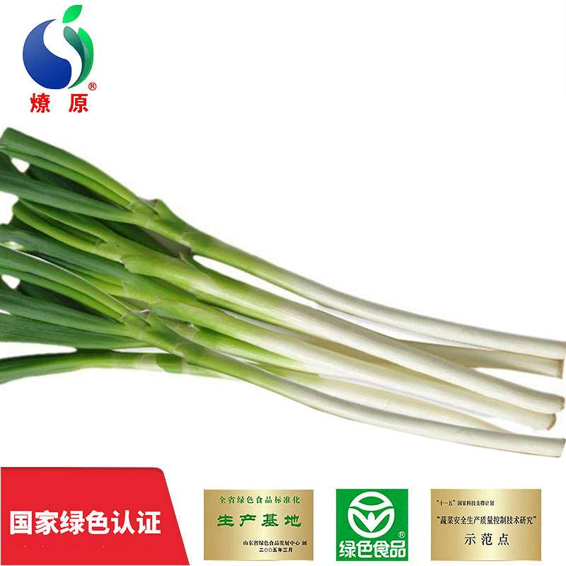 燎原绿色山东大葱 香葱去叶葱白甜葱葱类 特产绿色蔬菜 4斤包邮,水产肉类/新鲜蔬果/熟食,葱类,淘宝优惠券,粉丝福利购,淘宝优惠卷