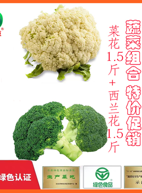 燎原绿色蔬菜菜花西兰花组合菜花1.5斤西兰花1.5斤