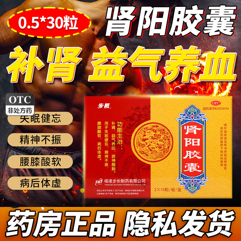 步长肾阳胶囊0.5g*30粒/盒益气养血提神醒脑失眠健忘精神不振补肾