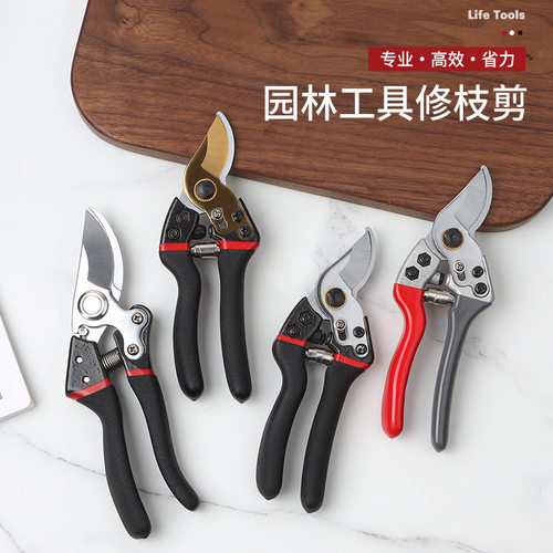 强力SK5园艺剪刀专修果树花枝