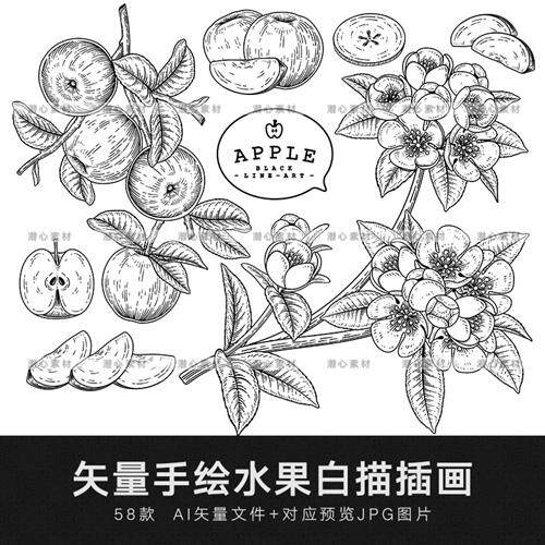 矢量ai手绘水果白描橙梨苹果柠檬桃子线稿线描图案插画设计素材