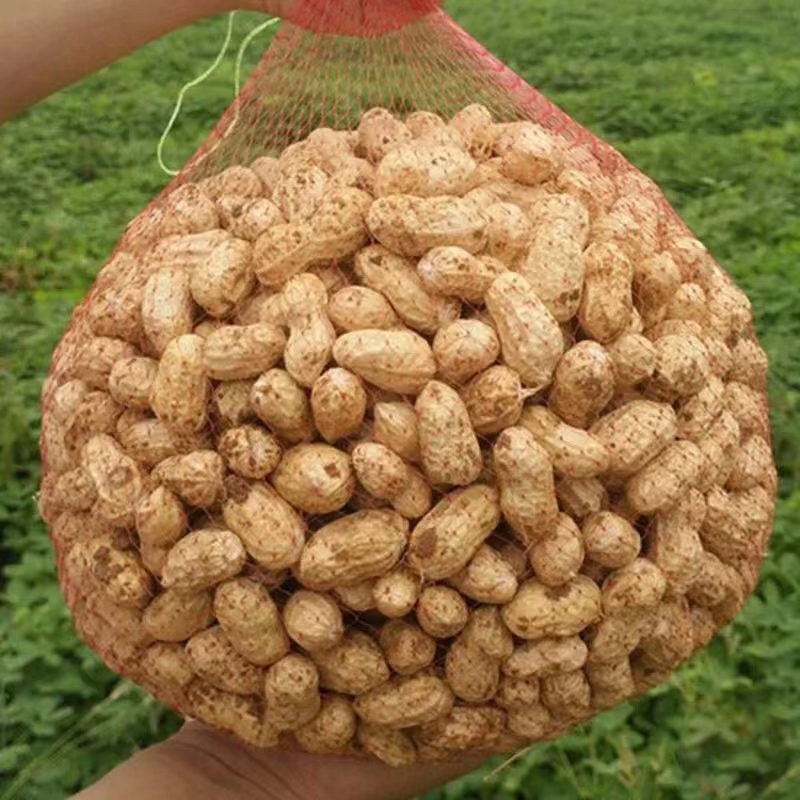 当季新鲜湿花生5斤农家自种带壳现挖现发粉红皮带泥鲜花生可水煮