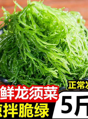 龙须菜新鲜海菜海藻火锅凉拌菜石花菜食材海草发菜批发食品包装