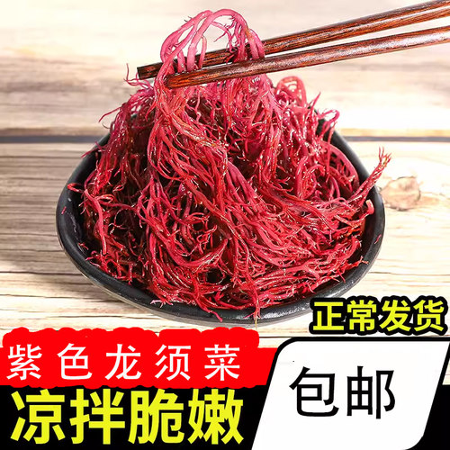 紫色龙须菜裙带菜海菜