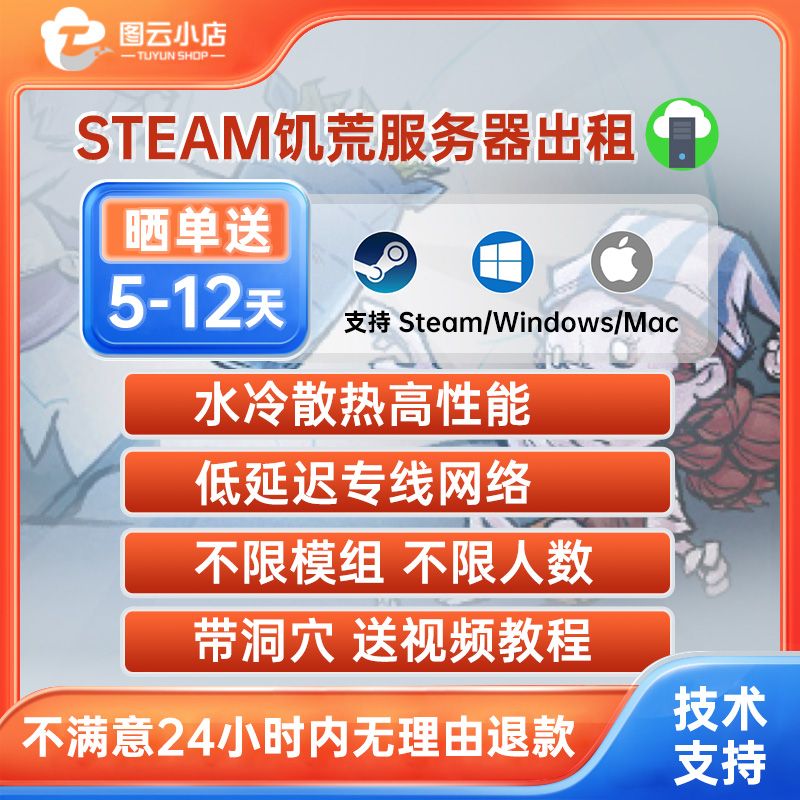 STEAM饥荒云服务器出租 轻量级服务器 流畅不卡 图云饥荒