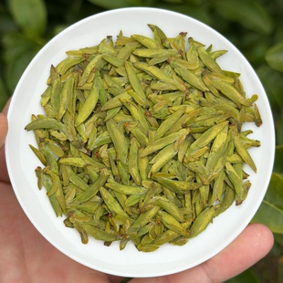 2026新茶乌牛早扁形绿茶明前开园头采清香型茶叶50克罐装