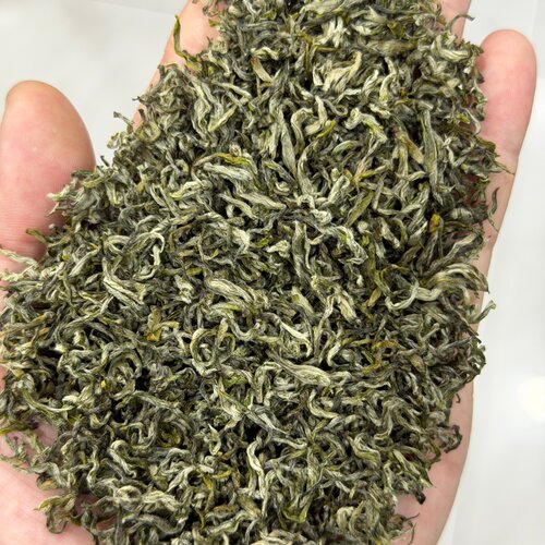 2026新茶蒙顶雅安甘露绿茶栗香