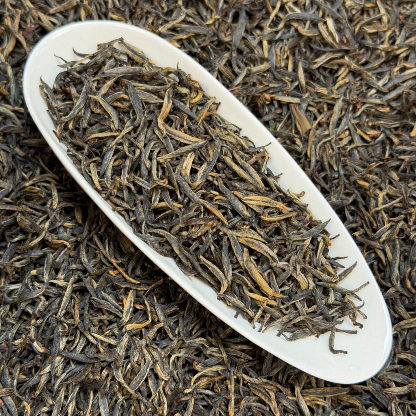 武夷山梅占开园头采金骏眉