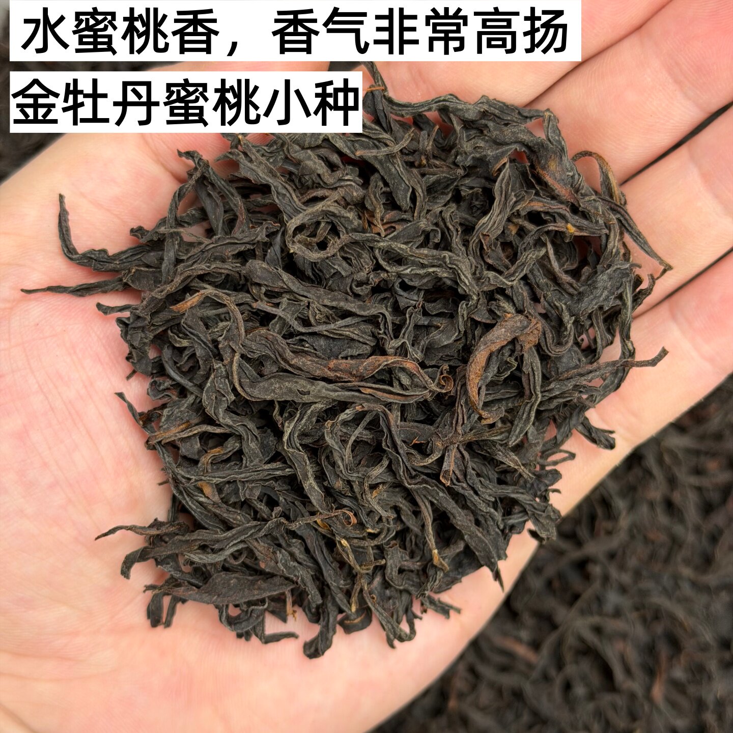 武夷山蜜桃小种红茶头春茶