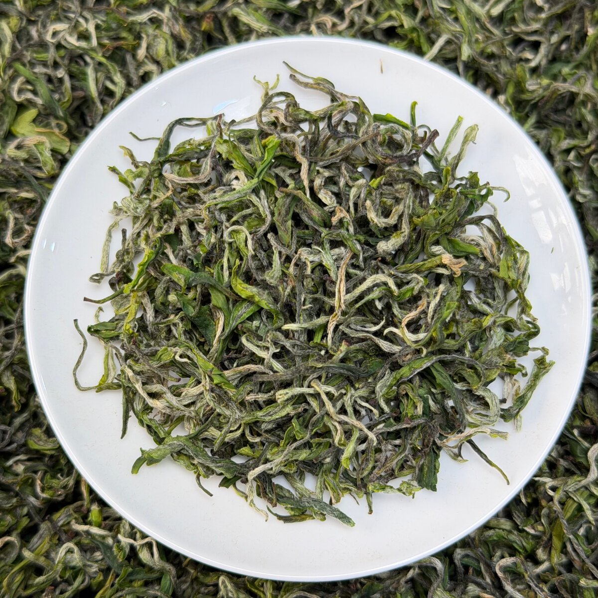 2026新茶明前口粮迎霜慧明茶高山绿茶兰花香型细腻爽甜250克罐装
