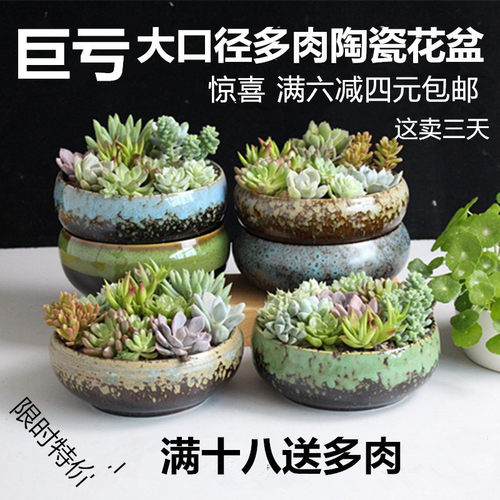 多肉植物花盆大口径价格 多肉植物花盆大口径图片 星期三