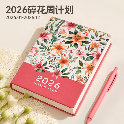 2026年日程本高颜值每日记事本
