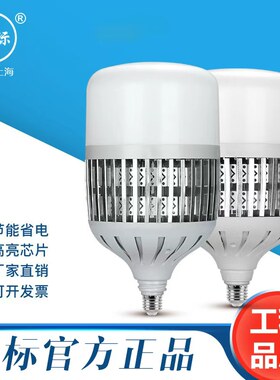亚标220v工厂车间物廉价美LED灯