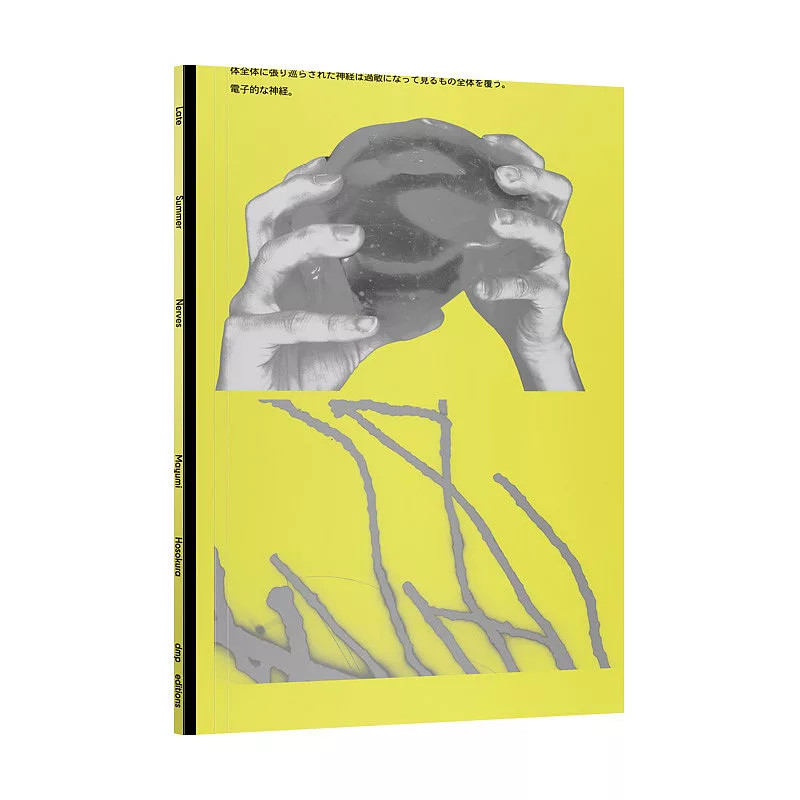 现货 晚夏神经 Late Summer Nervers 26   dmp editions 细仓真弓 Mayumi Hosokura  原版进口 直接摄影为核心的新作摄影集 摄像