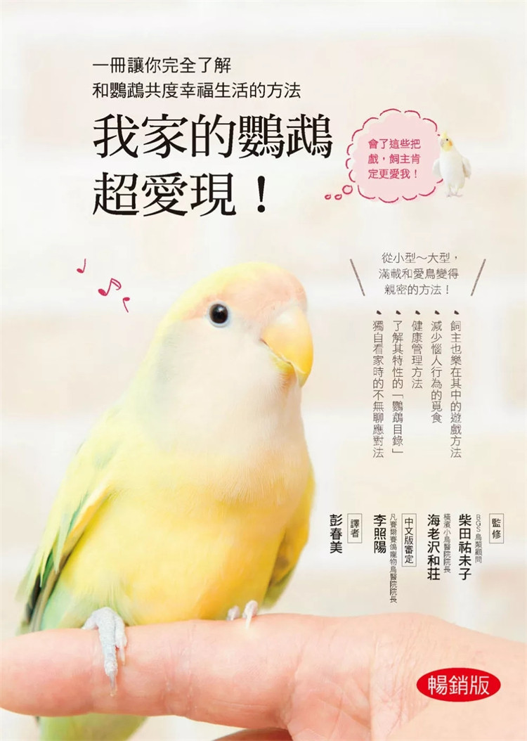 我家的鹦鹉超爱现柴田祐未子图片