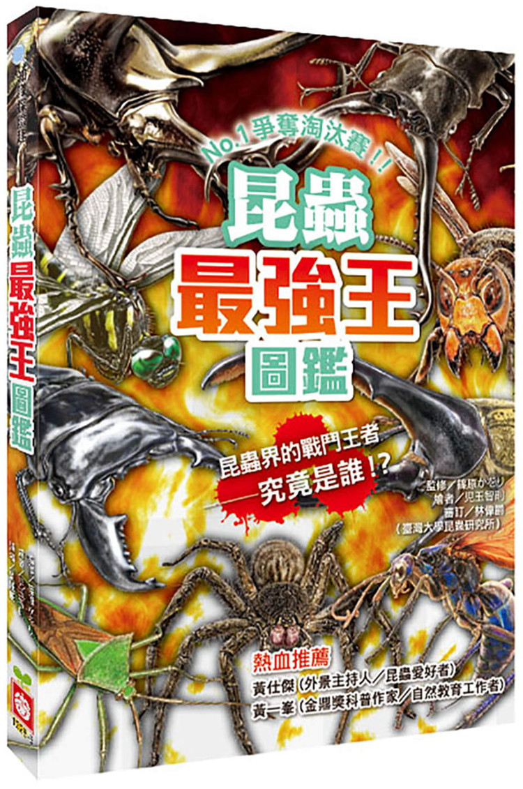 連續一場場的精采戰鬥！