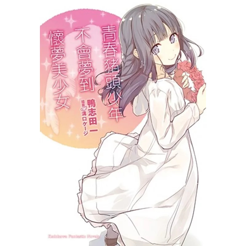 青春猪头少年不会梦到怀梦美少女