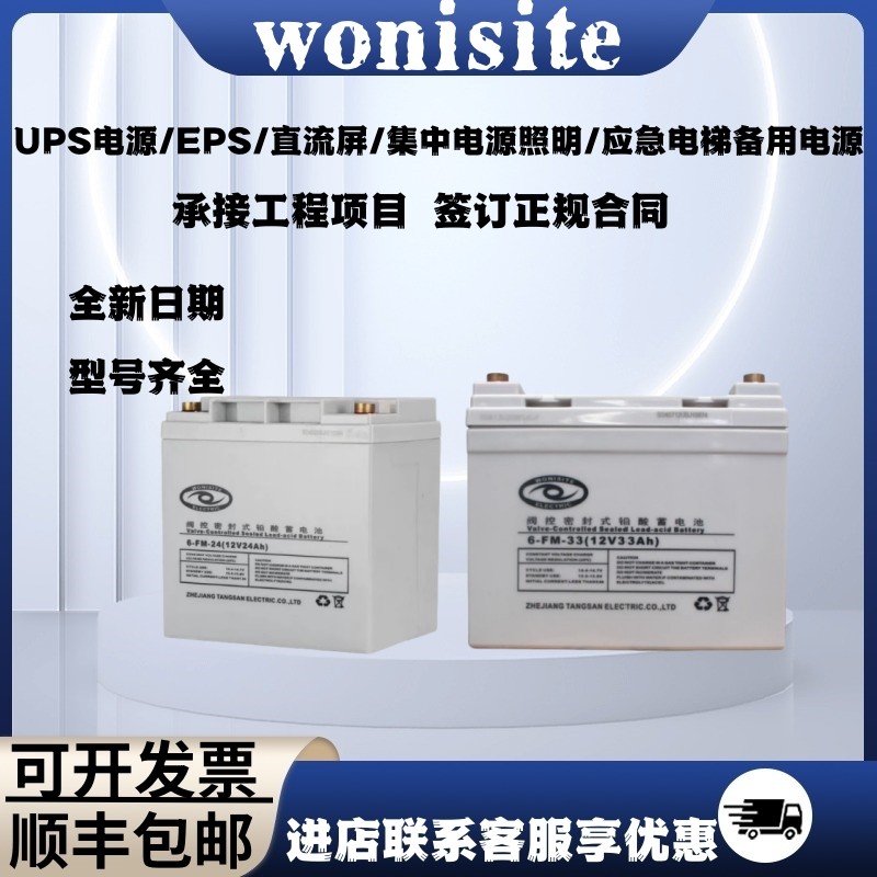 wonisite铅酸蓄电池EPS集中照明应急电源UPS直流屏用电梯应急照明