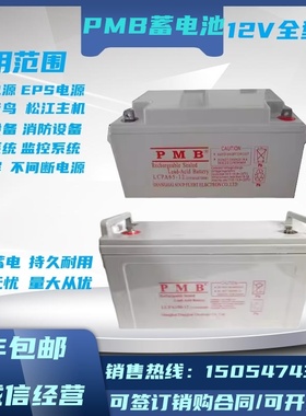 PMB蓄电池LCPA/PC12V7AH12A17A24A33A38A40A65A100A120A直流屏UPS