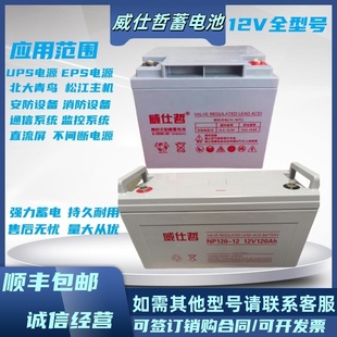 威仕哲蓄电池松江天成利达泰和安消防主机EPS应急报警备用UPS电梯