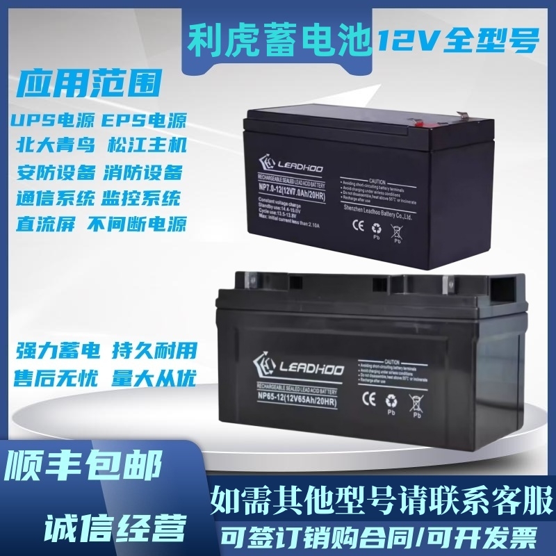 LEADHOO利虎蓄电池NP100-12V100AH17A20A24AH33A38A40A65A120200A