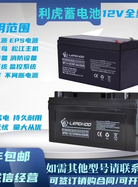 LEADHOO利虎蓄电池NP100-12V100AH17A20A24AH33A38A40A65A120200A