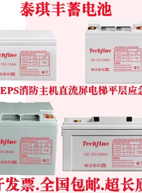 Techfine泰琪丰蓄电池UD12V7AH12A24A38A40A消防UPS系统消防主机