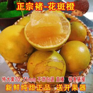 云南特产建实橙褚冰糖橙玉溪新鲜手剥橙哀牢山褚氏甜橙珍品花斑果