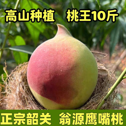 正宗广东韶关翁源鹰嘴桃