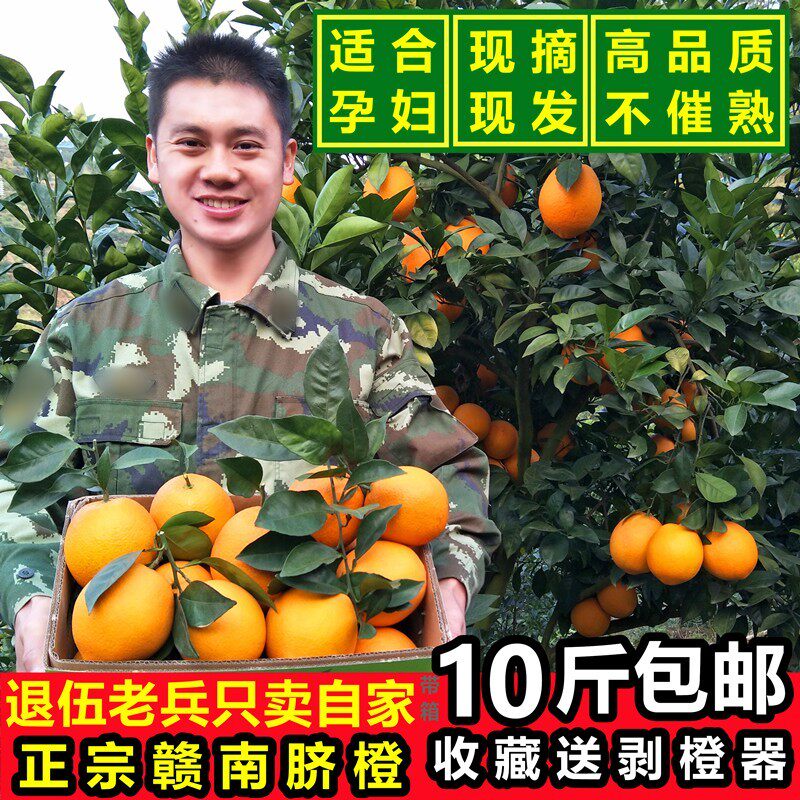 当季新鲜孕妇水果江西农家橙子橙汁现摘现发正宗赣南脐橙10斤包邮